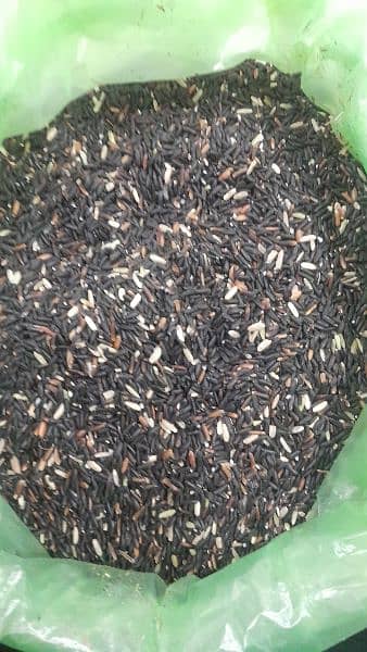 Black Rice / کالا چاول 0