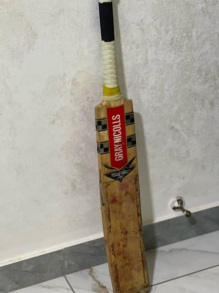 Cricket Hard ball Bat 2