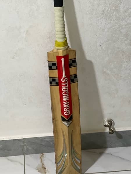 Cricket Hard ball Bat 3