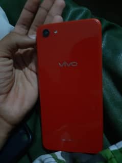 vivo