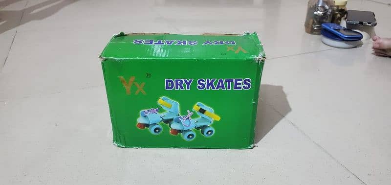 Dry quad skates 0