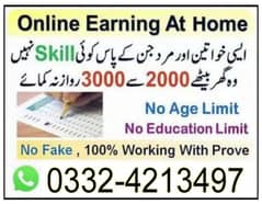 Boys/Girls Online job available,Data Entry/Typing/Assignment