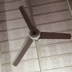 Pak Fan Ceiling fan Condition like new 0