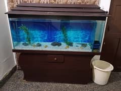 Fish Aquarium for sale(urgent)