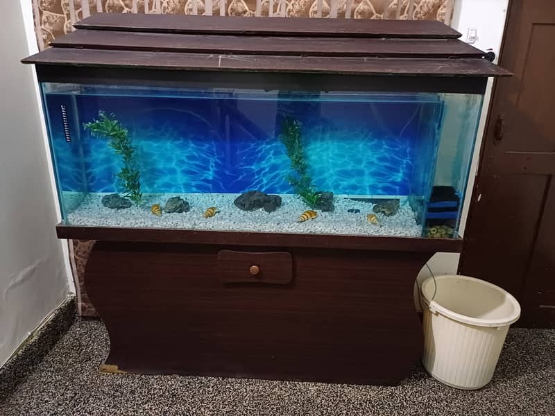 Fish Aquarium for sale(urgent) 0