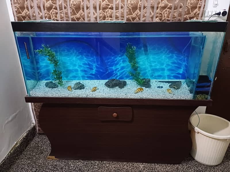 Fish Aquarium for sale(urgent) 2