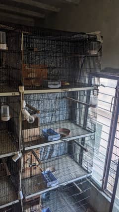 Heavy wire cage for sale 0
