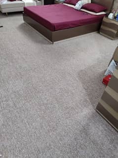 2 Carpets 19x14 + 7.5x6 feet, Brand new condition