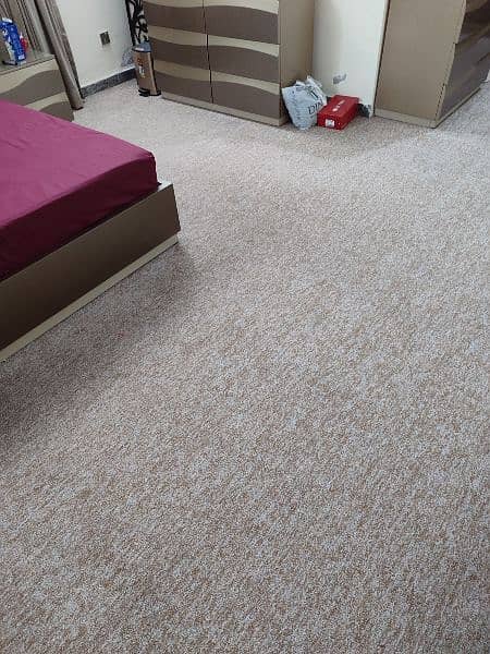2 Carpets 19x14 + 7.5x6 feet, Brand new condition 1