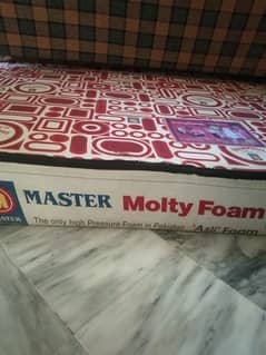 Master molty foam mattress