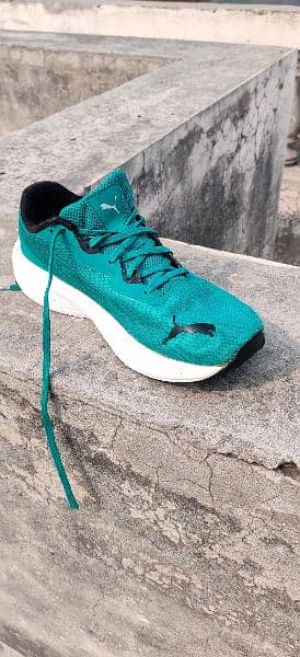 Brand New Puma Running Shoes EU 40 UK 6.5 1