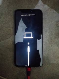 IPhone 11 logo stuck