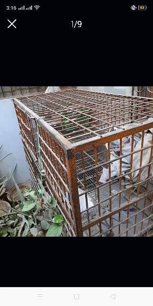 Cage for sell made iron 1