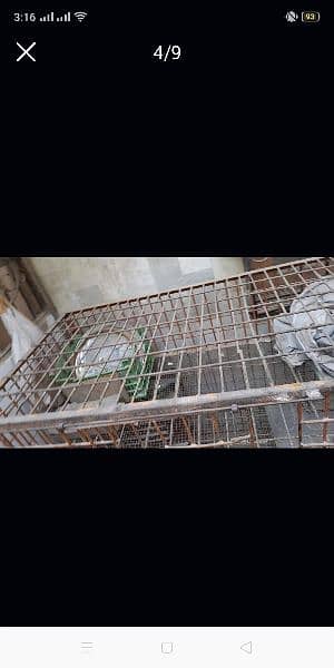 Cage for sell made iron 5