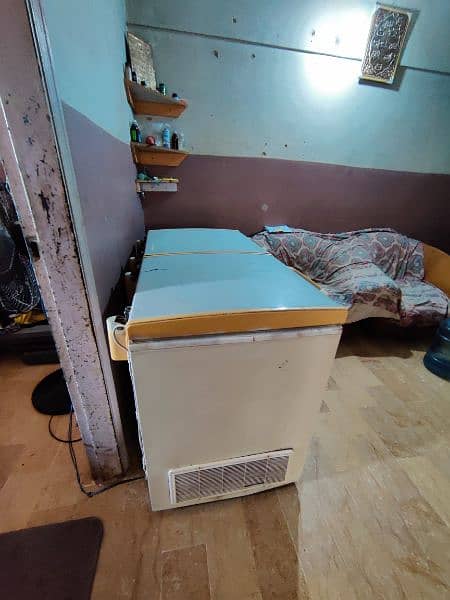 2door deep freezer 1