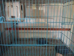 birds cage 0