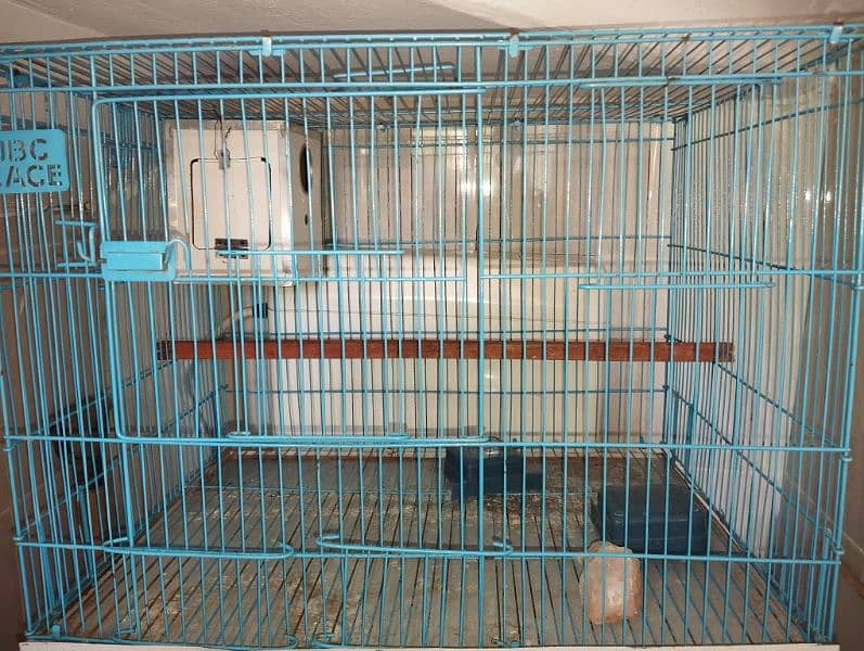 birds cage 1