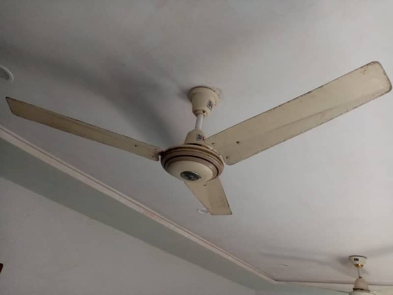 Polo Ceiling Fan 56" 0