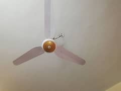 ceiling fan