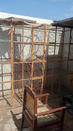 best cage for sale 16 box's cage for sale in best less rate 0