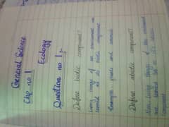 handwriting assignment work