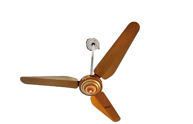 Top Quality Ceiling Fans for Sale Stylish and Energy-Efficient! 1