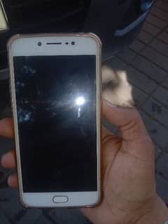 Vivo mob y 67