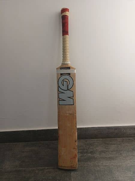 GM HARD BALL CRICKET BAT 0