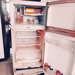 fridge+ freezer