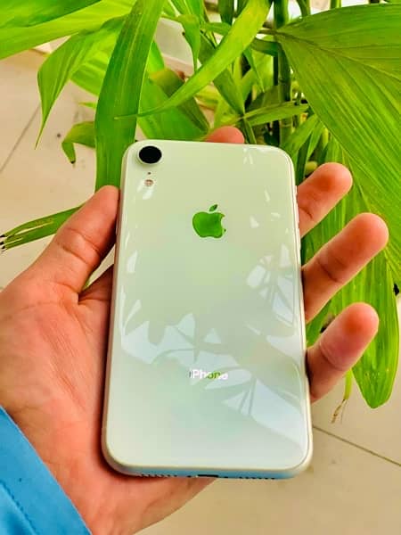 iphone xr 64gb non pta halit 80 watfroop  all ok  khpl halat kede 0