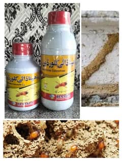 Termite Concrete Killer Chemical