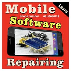 Mobile software repairing