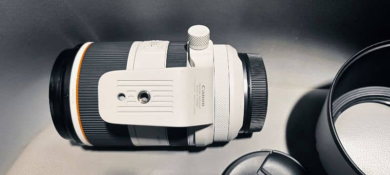 Canon 70-200 F2.8 RF 4