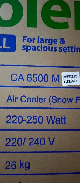 Air cooler canon 1