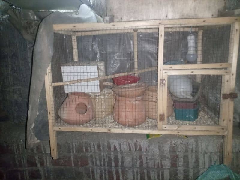 cages for sale 4