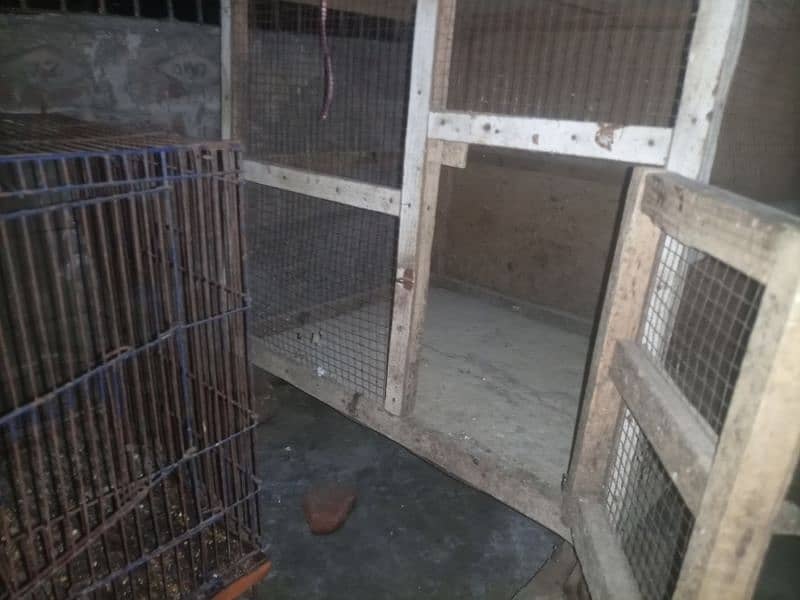 cages for sale 5