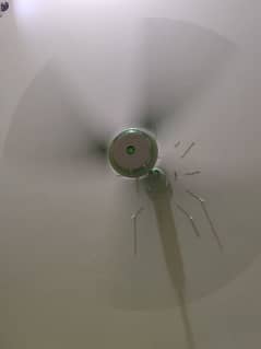 New like Fans full size Indus 56 inch