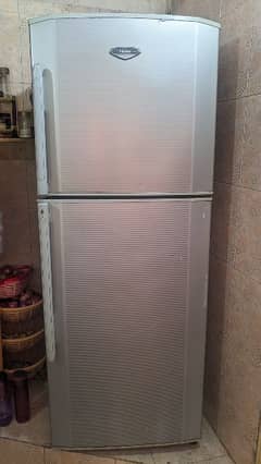 haeir refrigerator full size
