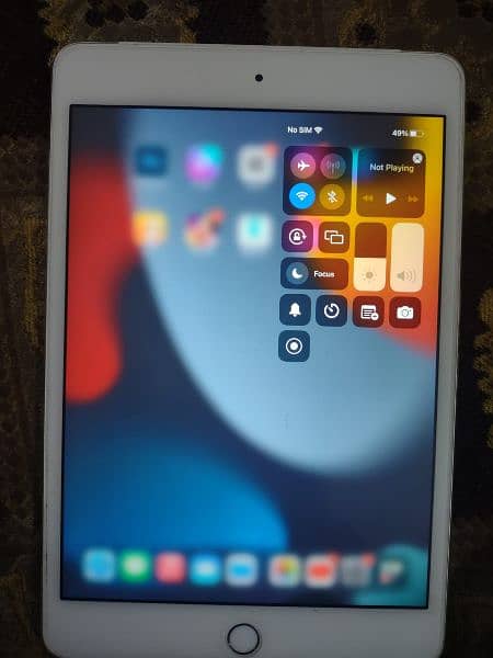 Ipad Mini 4 64gb Silver variant 1