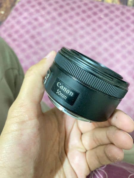 Canon 
50mm STM f/1.8 2