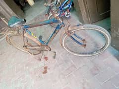 Bicycle on Cheapest price.