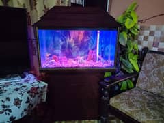 Fish Equarium For Sell in Fresh condition