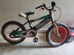 shbeija bicycle  younger boy
