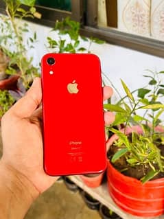 iPhone XR for sell