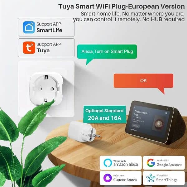 Tuya smart WiFi socket with power monitor 10