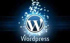 WordPress developer 0
