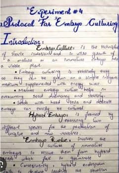 Hand Writing Assignments in Urdu And English 0