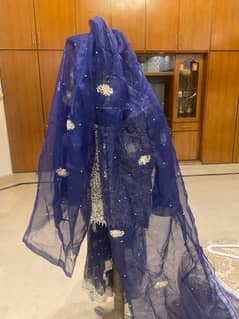 Elegant Royal Blue: Lehnga suitable for Party/Formal Wears