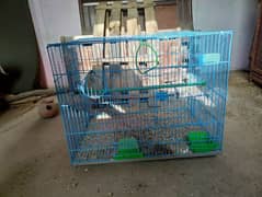 1 Albino cage