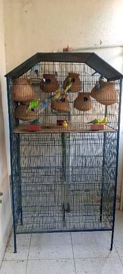 cage for sale with parrot